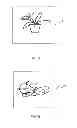 Fig. 05 - SYSTEM AND METHOD FOR MEASURING FEATURES OF PLANT BY PLANT IMAGES AND RECORDING MEDIUM