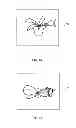 Fig. 06 - SYSTEM AND METHOD FOR MEASURING FEATURES OF PLANT BY PLANT IMAGES AND RECORDING MEDIUM