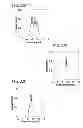 Fig. 31 - DIRECT ECHO PARTICLE IMAGE VELOCIMETRY FLOW VECTOR MAPPING ON ULTRASOUND DICOM IMAGES