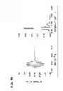 Fig. 58 - DIRECT ECHO PARTICLE IMAGE VELOCIMETRY FLOW VECTOR MAPPING ON ULTRASOUND DICOM IMAGES