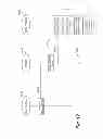 Fig. 12 - Method for administering a drug program to determine whether an animal has been given a drug