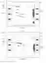 Fig. 07 - Method and system for recovery of 3D scene structure and camera motion from a video sequence