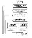 Fig. 04 - Image capture and identification system and process