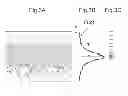 Fig. 04 - Transmission device, transmission method, and communication system