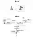 Fig. 03 - OPTICAL SIGNAL PROCESSING APPARATUS AND OPTICAL SIGNAL PROCESSING METHOD