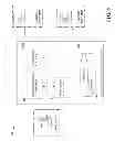 Fig. 06 - Self-organizing network switching matrix