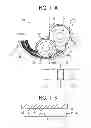 Fig. 13 - Developing device, and image forming apparatus using the same