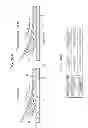 Fig. 19 - Image forming apparatus
