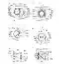 Fig. 01 - Electrophotographic image forming apparatus, developing apparatus, and coupling member