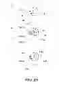 Fig. 30 - Electrophotographic image forming apparatus, developing apparatus, and coupling member