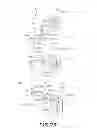 Fig. 76 - Electrophotographic image forming apparatus, developing apparatus, and coupling member