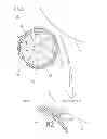 Fig. 06 - Development roller having magnetic roller and image forming apparatus including the development roller