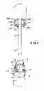 Fig. 07 - System for packaging and applying a product, in particular a cosmetic product