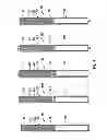 Fig. 05 - Methods and apparatus for freight container loading