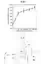 Fig. 05 - Method for producing high-strength magnesium alloy material and magnesium alloy rod