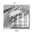 Fig. 05 - Nanostructures patterned by electrostatic printing