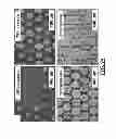 Fig. 09 - Nanostructures patterned by electrostatic printing