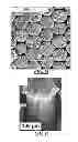 Fig. 10 - Nanostructures patterned by electrostatic printing