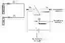 Fig. 01 - Process to separate phosgene and hydrogen chloride from a fluid stream comprising phosgene and hydrogen chloride