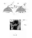 Fig. 02 - PHOTOCATALYST FOR WATER SPLITTING