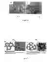 Fig. 05 - PHOTOCATALYST FOR WATER SPLITTING