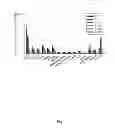 Fig. 08 - Radioimunoconjugates and uses thereof
