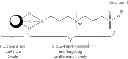 Fig. 08 - Nanoparticle contrast agents for diagnostic imaging