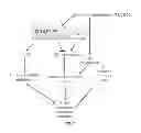 Fig. 06 - METHODS OF TREATING CANCER AND TESTING MUTATION ZYGOSITY RELATED THERETO