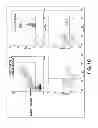 Fig. 03 - Compositions and methods for treatment of intracellular damage and bacterial infection