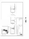 Fig. 05 - Compositions and methods for treatment of intracellular damage and bacterial infection