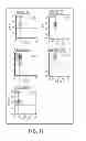 Fig. 09 - Compositions and methods for treatment of intracellular damage and bacterial infection