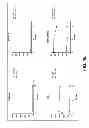 Fig. 26 - Compositions and methods for treatment of intracellular damage and bacterial infection