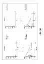 Fig. 28 - Compositions and methods for treatment of intracellular damage and bacterial infection