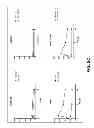 Fig. 29 - Compositions and methods for treatment of intracellular damage and bacterial infection