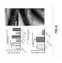 Fig. 30 - Compositions and methods for treatment of intracellular damage and bacterial infection