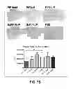 Fig. 32 - Compositions and methods for treatment of intracellular damage and bacterial infection