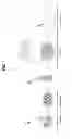 Fig. 02 - COMPOSITIONS AND METHODS FOR FORMATION OF BONE TISSUE