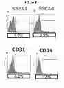 Fig. 06 - COMPOSITIONS AND METHODS FOR FORMATION OF BONE TISSUE