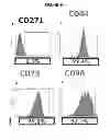 Fig. 07 - COMPOSITIONS AND METHODS FOR FORMATION OF BONE TISSUE