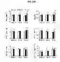 Fig. 34 - COMPOSITIONS AND METHODS FOR FORMATION OF BONE TISSUE