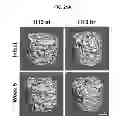 Fig. 35 - COMPOSITIONS AND METHODS FOR FORMATION OF BONE TISSUE
