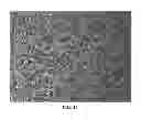 Fig. 12 - METHOD OF DERIVING STEM CELLS, STEM CELLS, AND USE OF STEM CELLS FOR WOUND HEALING