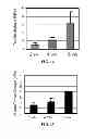 Fig. 17 - METHOD OF DERIVING STEM CELLS, STEM CELLS, AND USE OF STEM CELLS FOR WOUND HEALING