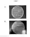 Fig. 02 - Anticaries compositions and probiotics/prebiotics