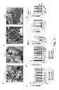 Fig. 06 - Compositions and Methods for Modulating Desnutrin-Mediated Adipocyte Lipolysis