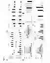 Fig. 03 - NCoR1 is a Physiological Modulator of Muscle Mass and Oxidative Function