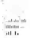 Fig. 13 - NCoR1 is a Physiological Modulator of Muscle Mass and Oxidative Function