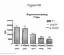 Fig. 12 - Methods of treating vasomotor symptoms using antibodies