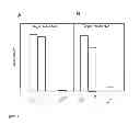 Fig. 02 - Anti-nerve growth factor antibodies and methods of preparing and using the same
