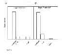 Fig. 04 - Anti-nerve growth factor antibodies and methods of preparing and using the same